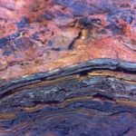 Fossilien, Stromatolithen, aus Westaustralien wurden vor 3,48 Milliarden Jahren von Mikroben geschaffen