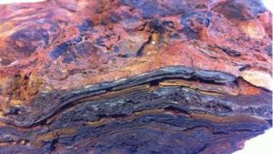 Fossilien, Stromatolithen, aus Westaustralien wurden vor 3,48 Milliarden Jahren von Mikroben geschaffen