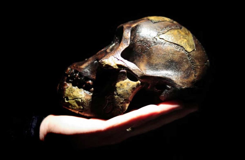 Our ancestors’ numbers dwindled to 1,280 breeding individuals 930,000 years ago