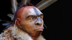 Latest News on Neanderthals – Interbreeding with Homo sapiens and Isolation