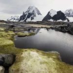 Il y a 90 millions d’années, l’Antarctique était une forêt tropicale luxuriante