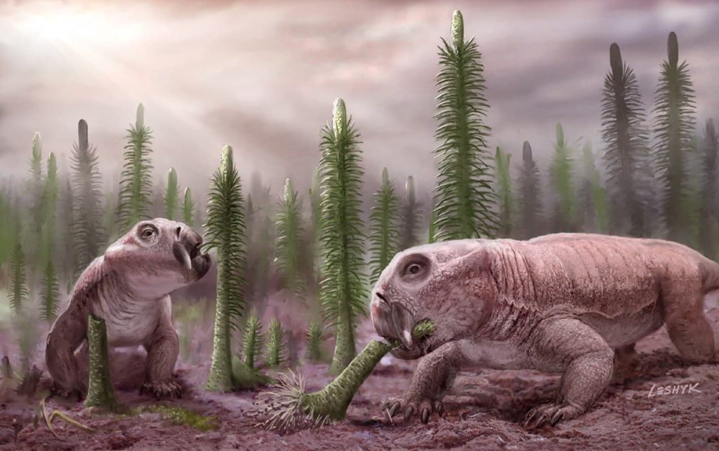 Causes de l&rsquo;extinction du Permien-Trias: surcharge atmosphérique en dioxyde de carbone VS impulsion mortelle de rayonnement ultraviolet