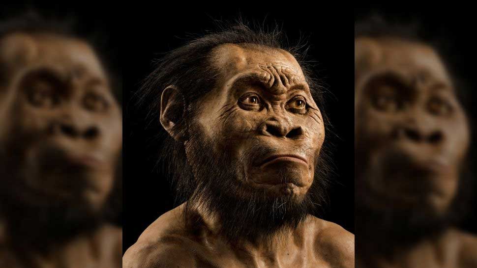 Il y a 250 000 ans, les ancêtres des humains modernes peignaient sur les murs des grottes et enterraient leurs morts