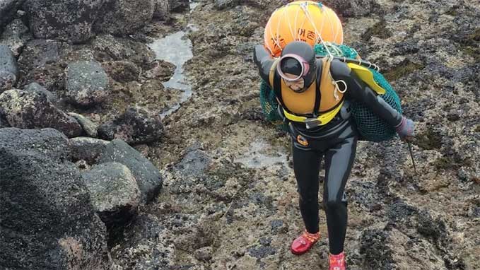 Les habitants de l&rsquo;île de Jeju au Japon ont évolué pour devenir résistants à l&rsquo;hypothermie