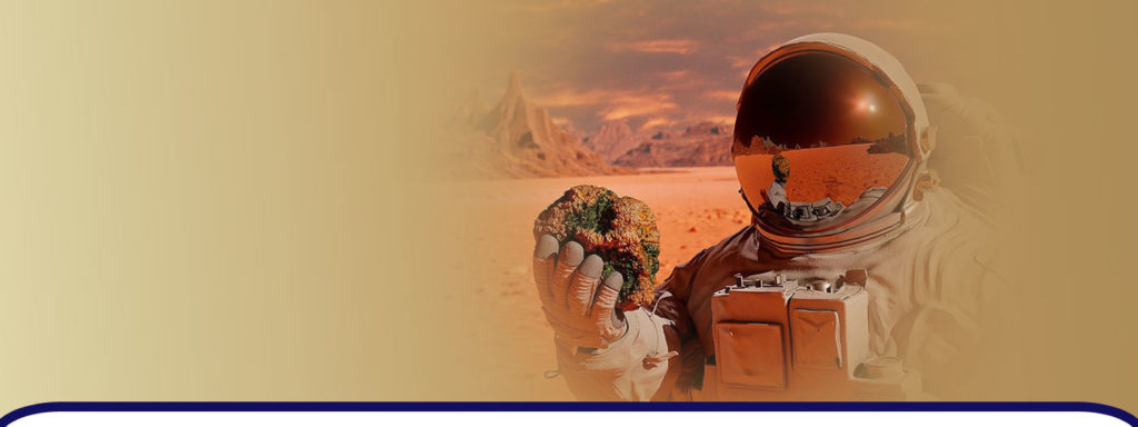 Elon Musk wird an der Eroberung des Mars teilnehmen