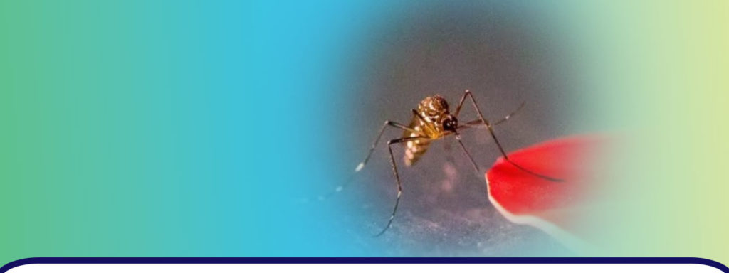 Neue Daten zur Mückenbekämpfung entdeckt