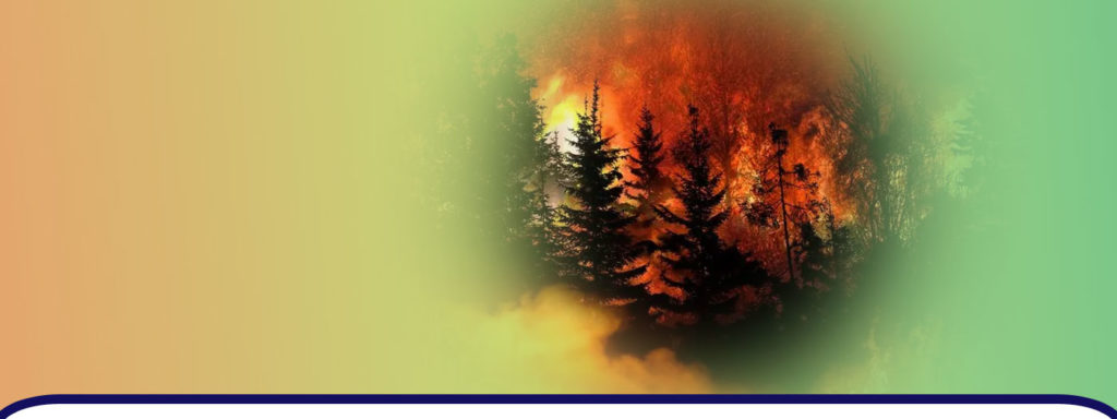 Im Primorsky-Territorium wurde ein Feuertornado registriert, und es werden großflächige Waldbrände bekämpft