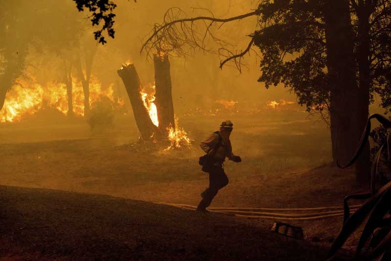 Die zunehmende Zahl extremer Waldbrände aufgrund des Klimawandels ist zu einem globalen Problem geworden