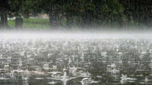 Am Tag vor dem Erdbeben im Primorsky-Territorium floss das Wasser mehrere Dutzend Meter vom Ufer entfernt