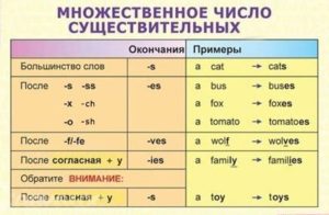 General characteristics of nouns in English