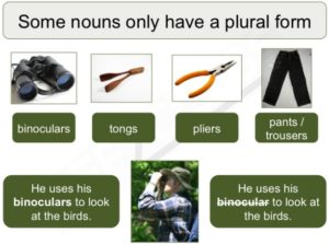 Nouns used only in the plural in English