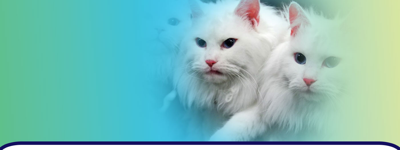клоны