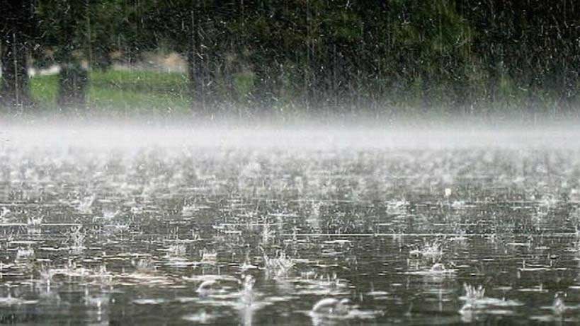 The day before the earthquake in Primorsky Krai, the water receded from the shore by several tens of meters