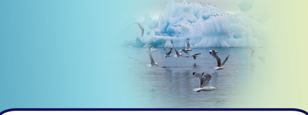 Des températures anormales ont été enregistrées simultanément dans l’Arctique et l’Antarctique