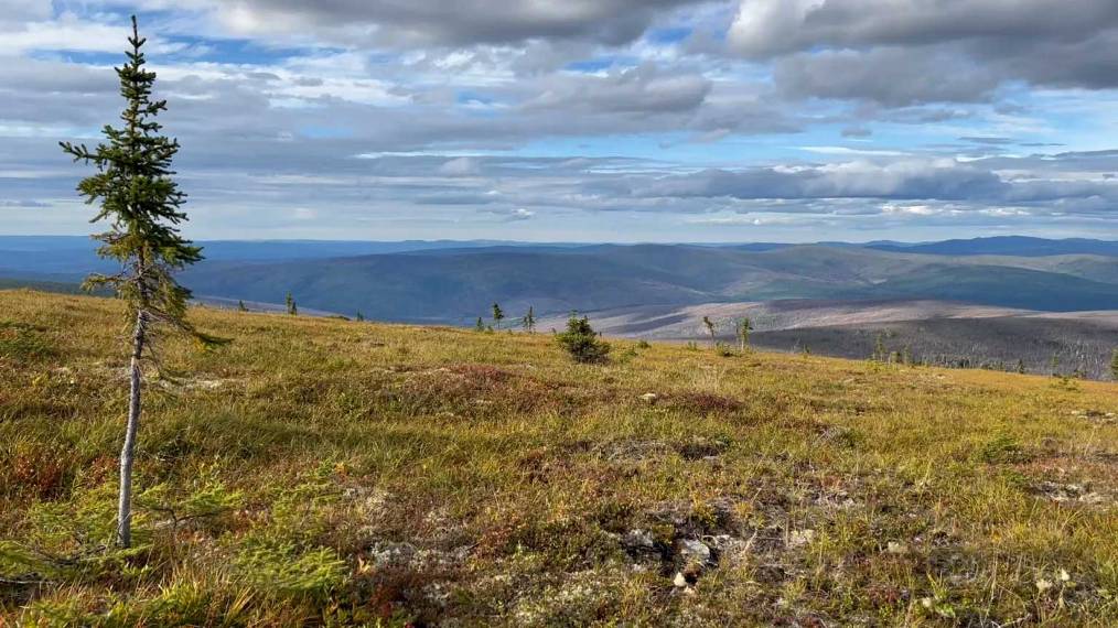 Le climat modifie la flore et les plans d’eau de la Terre