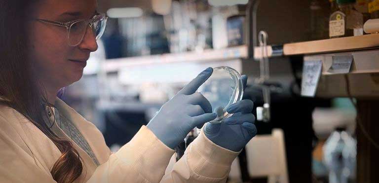Surprises microbiologiques de la vie extraterrestre: la panspermie inversée. Des micro-organismes terrestres peuvent coloniser l’espace