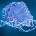 Fanzor is the first CRISPR-like system found in complex life forms