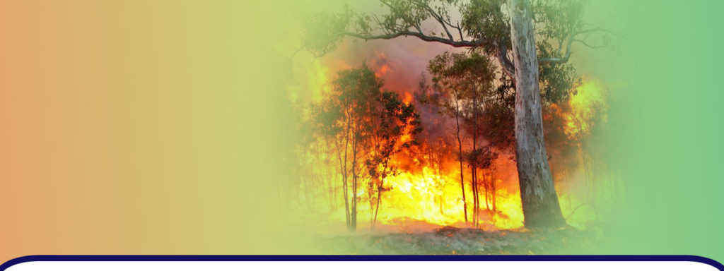 Лесные пожары буйствуют в Красноярском крае, пострадали жилые дома, есть жертва